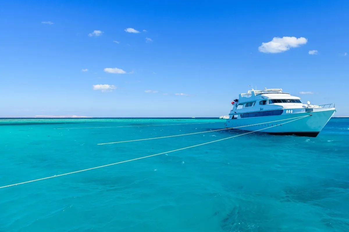 Ras Mohammed & White Island by boat, picture 3