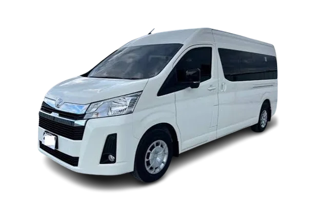 Mini van